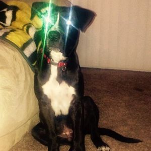 Meet your Posher, Brett